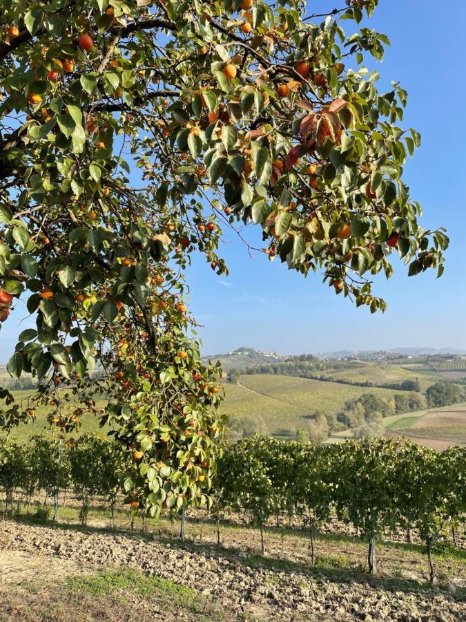 Ferienwohnung Locazione Turistica Cascina Pela Castagnole delle Lanze Exterior foto