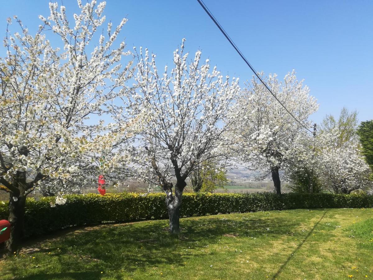 Ferienwohnung Locazione Turistica Cascina Pela Castagnole delle Lanze Exterior foto